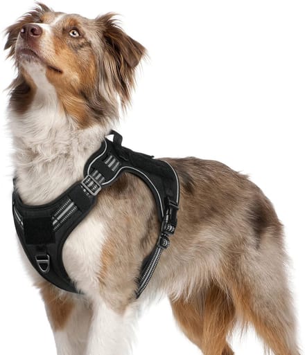 Stunq® Multipurpose Hondentuig voor Medium Honden met Reflecterende Details en Handvatten