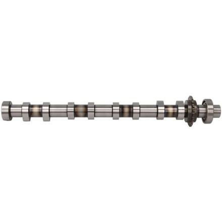 Nokkenas  FRECCIA CM05-2417