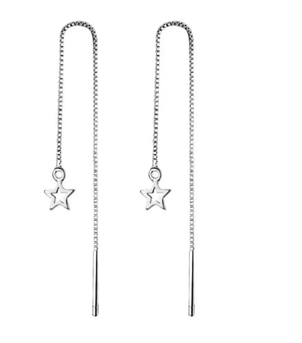 Doorsteek oorbellen -Ster- rvs- Charme Bijoux