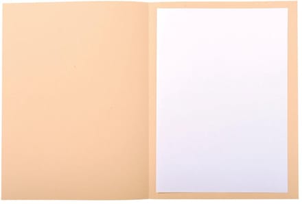 Exacompta 5x FOREVER 220 Pak 50 bedrukte dossiermappen 220g/m2 - 24x32cm voor A4. - Gems - 435002E