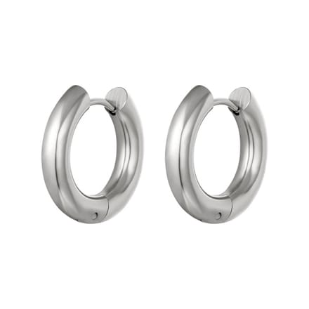 Bijoutheek Oorringen Staal Zilver