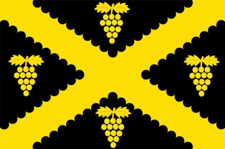 Vlag Wijnegem 100x150cm