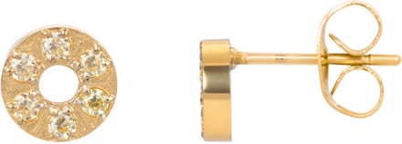 iXXXi Oorbellen Circle Stone 6 mm Goud