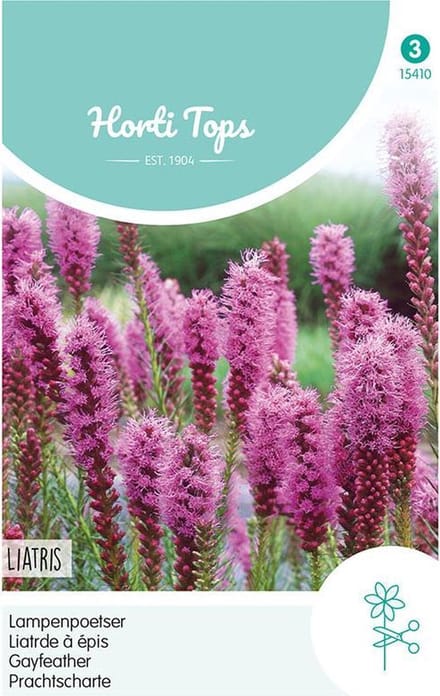 Liatris Bloemzaad - Spicata