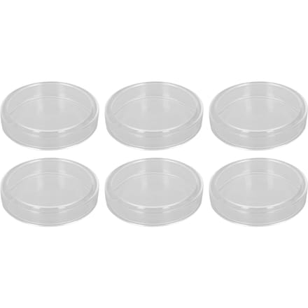 10 pièces Boîtes de Pétri de laboratoire en verre Boîtes de culture avec couvercles pour expérience de biorecherche white