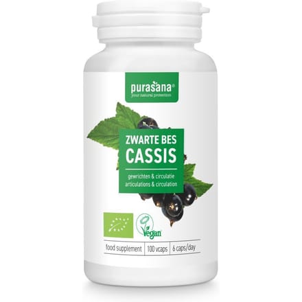 Pit&Pit - Zwarte bes capsules bio 100 pcs. - Zwarte bes blad - Van biologische landbouw