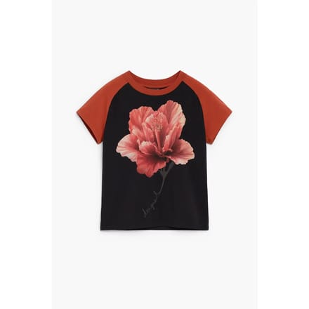 Dames-T-shirt Desigual Tebas