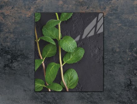 TMK ArtDeko - Snijplank - Glas - 45x52 cm - Miënte