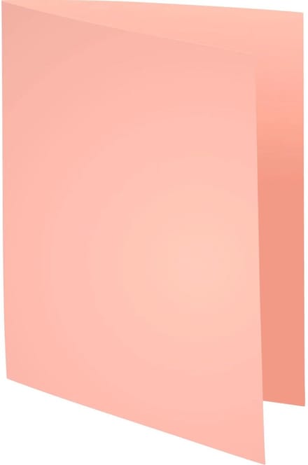 Exacompta 5x FOREVER 220-Pak van 100 dossiermappen 220g/m2 24x32cm voor A4. - Roze - 410003E