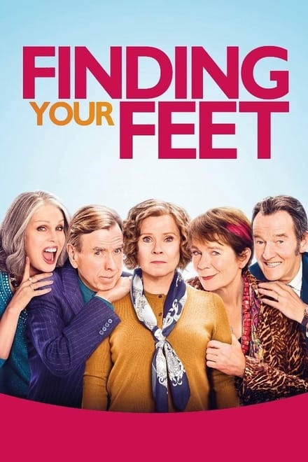 Finding Your Feet (DVD)