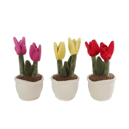 Take Me Home tulp plant pluche L 3 assorti 27 cm.