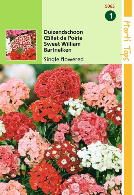 2 stuks Hortitops Dianthus Barbatus Enkelbloemig Gemengd