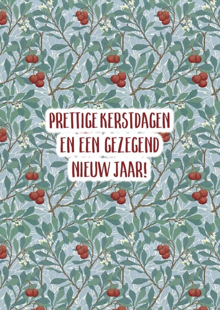 Kerstkaart 'Prettige kerstdagen - besjes dik' ' 12 stuks met envelop