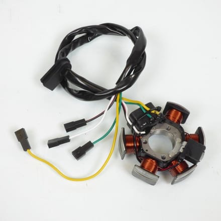 Stator d allumage P2R pour Moto Malaguti 50 Drakon Neuf