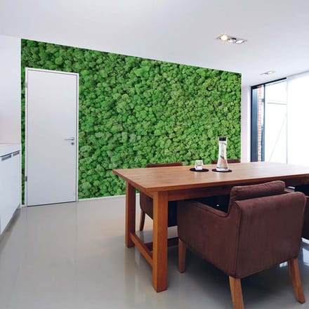 Fotobehang RealMoss DD108835 A.S. Création AP Digital 4 | Fotobehang
