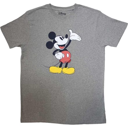 Disney Uniseks volwassen onthulling Mickey Mouse T-shirt (Grijs)