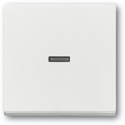 ABB Busch-Jaeger Schakelelement/Centrale Plaat - 2CKA001751A3153