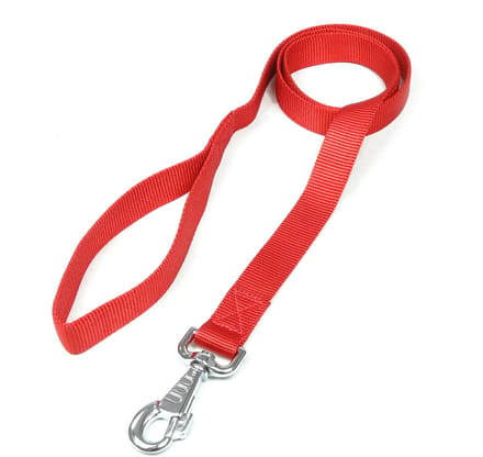De-Tail Hondenriem Nylon 25 mm x 130 cm Rood