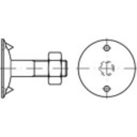 TOOLCRAFT 147103 Riembouten M8 40 mm Buitenzeskant DIN 15237 Staal 100 stuk(s)