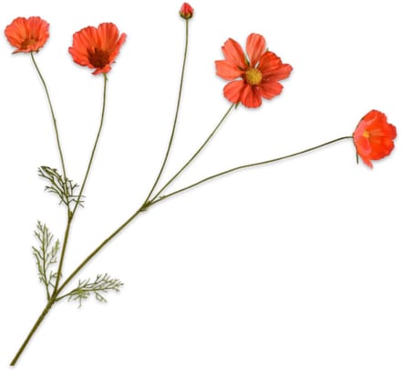 Silk-ka - Kunstbloem - oranje - H92 cm
