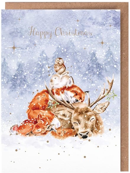 Wrendale Kerstkaarten Notepack - 8 stuks - 'Comfort and Joy' Animal Christmas Card Pack