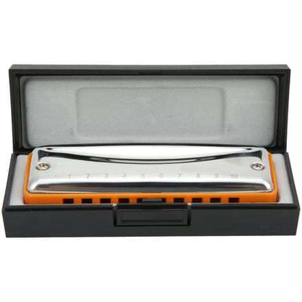Harmonica Blues 10 Trous Harmonica en Ré Instrument à Vent Étanche orange