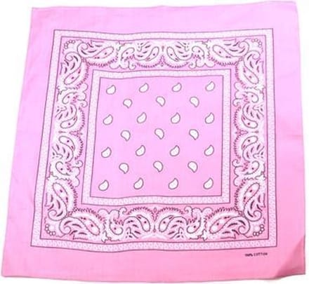 Zac's Alter Ego Bandana Paisley baby roze  Roze/Wit