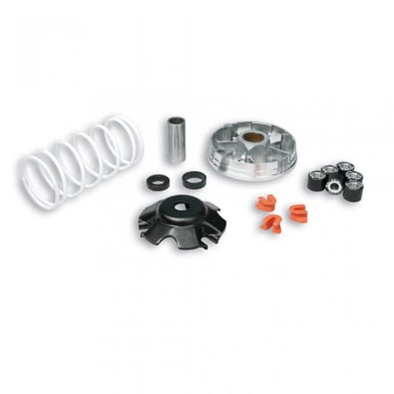 Variateur Malossi pour Scooter Piaggio 50 Typhoon X 1994 à 1999 Neuf