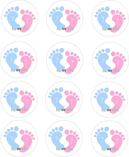 DW4Trading Geboorte Sticker He Or She Blauw-roze - Envelop - Sluitsticker - Babyshower - 24 Stuks – Ø 4,5 cm