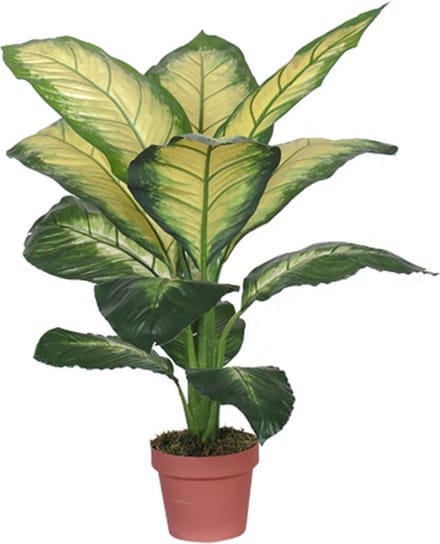 Kunst Dieffenbachia Dotied - 105 cm
