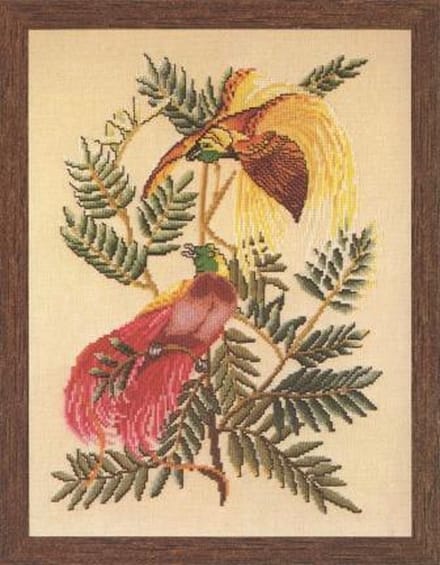 borduurpakket 17103 vogels, paradijsvogels