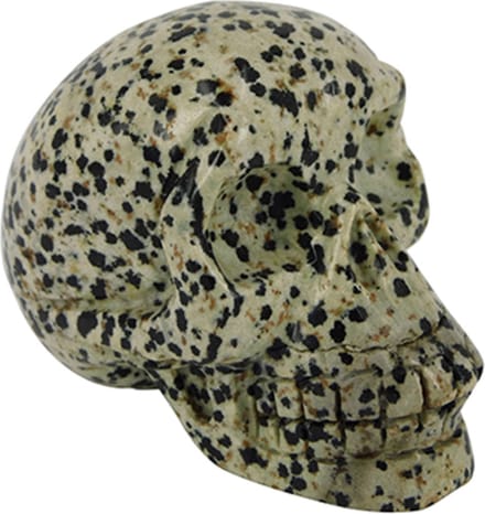 Jaspis dalmatier schedel 70 mm