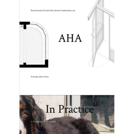 Aha In Practice - Leeke Reinders