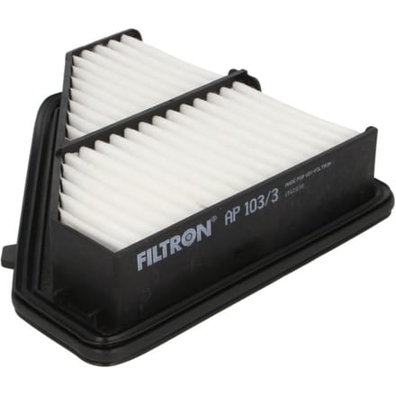 Luchtfilter FILTRON AP103/3