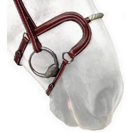 Neusriem cheval touw Silver Crown H