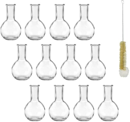 Vaas, vaas van glas 10 cm incl. flessenborstel