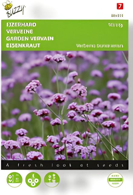 Buzzy - Zaden verbena ijzerhard vanity 25 zaden