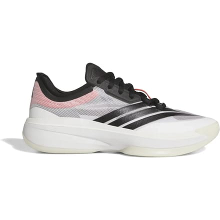 Basketbalschoenen adidas Baskets Adizero Select 3.0 léger