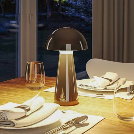 Paulmann 76994 Onzo LED-tafellamp voor buiten 2.6 W Warmwit Zwart