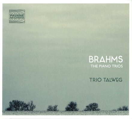 Trio Talweg - Brahms: The Piano Trios (2 CD)