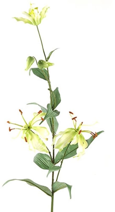 Countryfield Kunstbloem Gloriosa lime