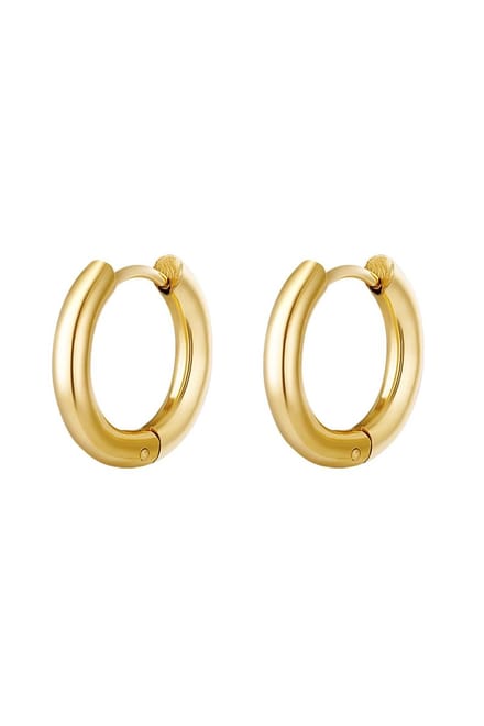 Oorbellen Goud - Roestvrij Staal - Gold Plating