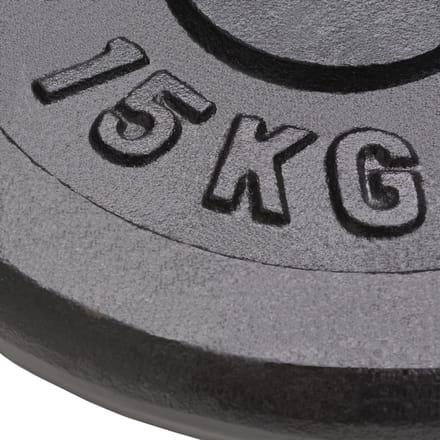 vidaXL - Halterschijven - 2 - st - 2x15 - kg - gietijzer