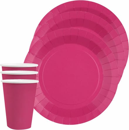 Santex feest/verjaardag servies set - 20x bordjes en bekertjes - fuchsia roze - karton