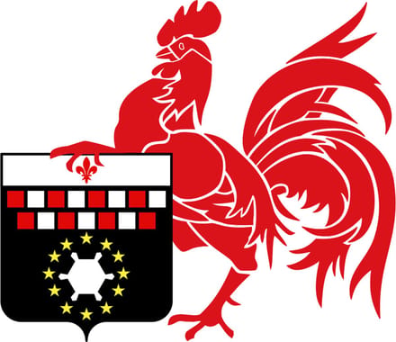 Vlag Charleroi 150x225cm
