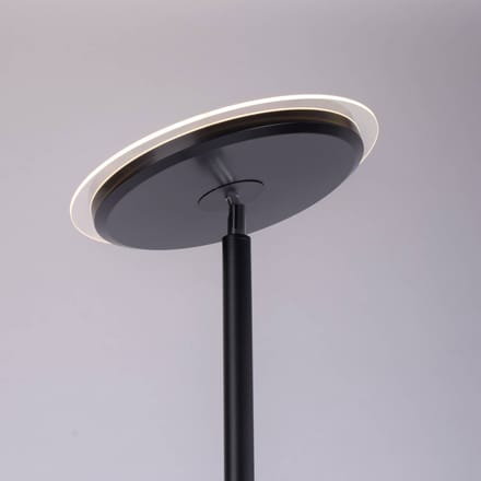 JUST LIGHT. GmbH Hans LED vloerlamp met leeslamp, rond, zwart