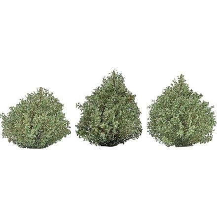 Busch 3607 Struik Zomer 40 mm