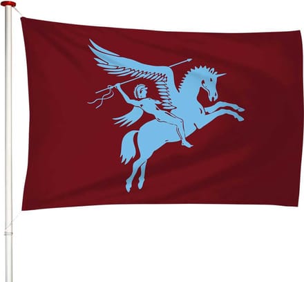 Airborne Herdenkingsvlag - Premium Kwaliteit - 100x150cm