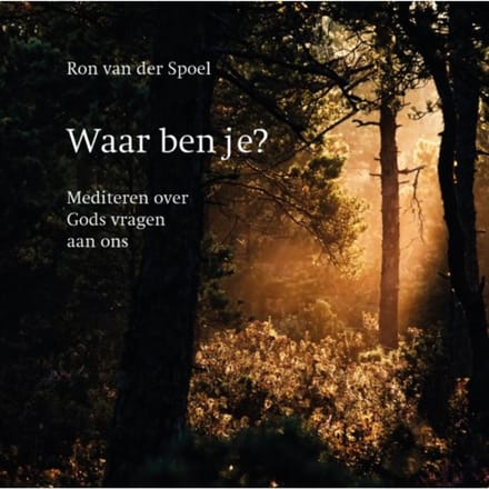 Waar Ben Je? - Ron van der Spoel