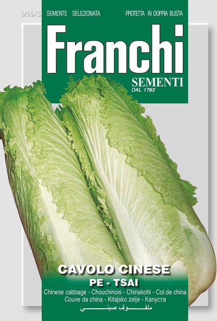 Franchi -  Bladkool, Cavolo Cinese Pe-Tsai 35/5